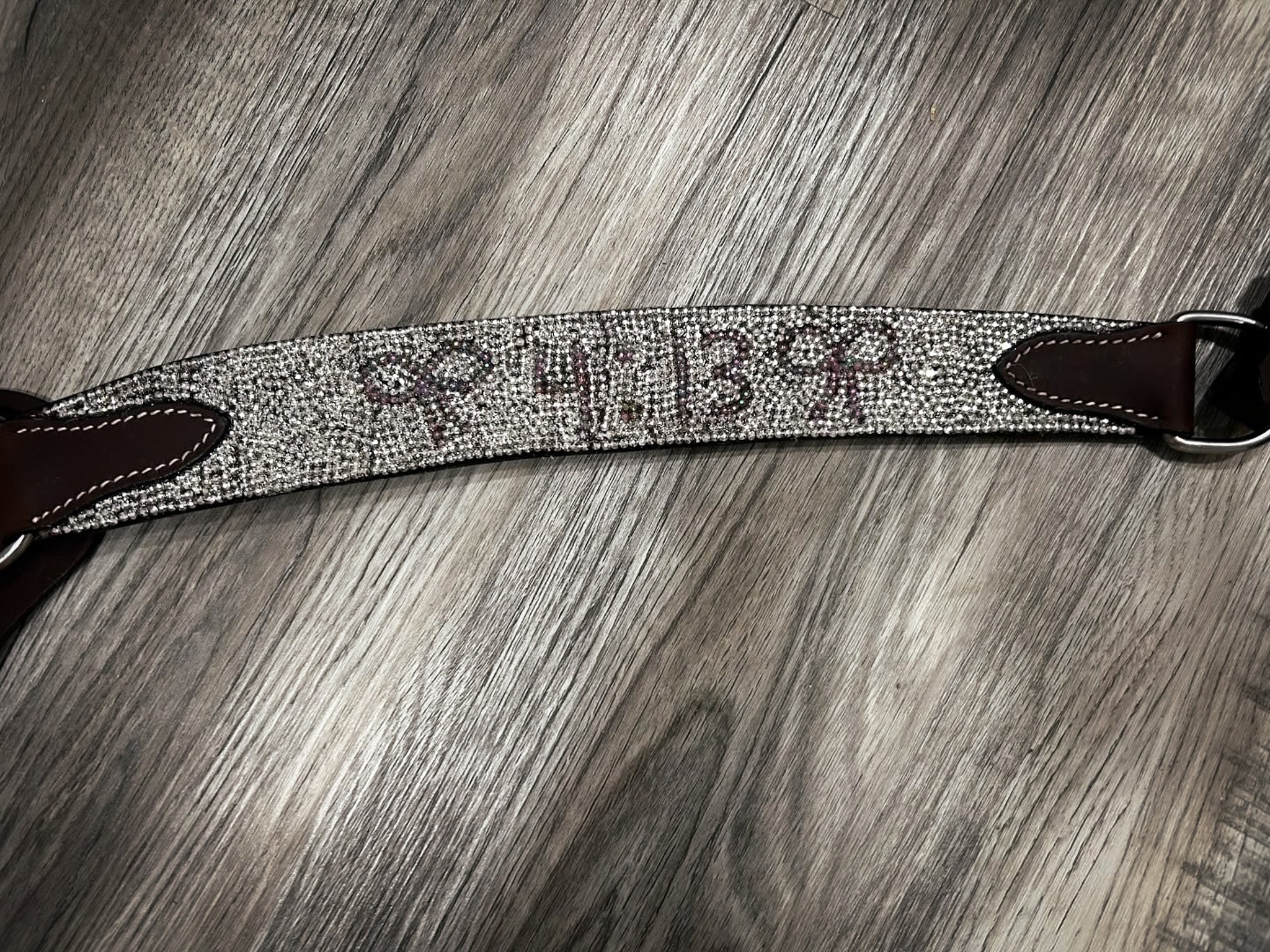 Philippians 4:13 Breast Collar Secondary image