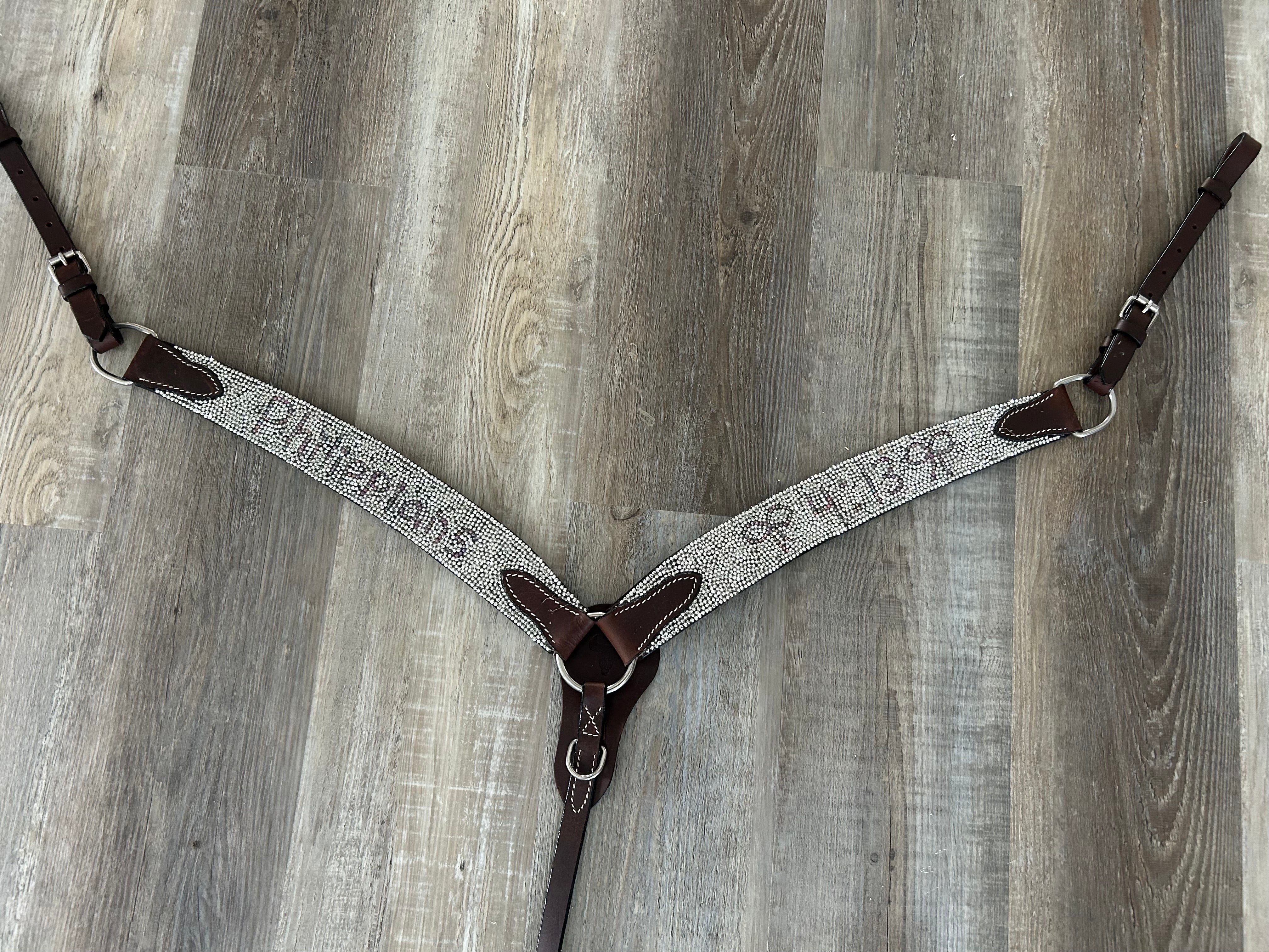 Philippians 4:13 Breast Collar Main image